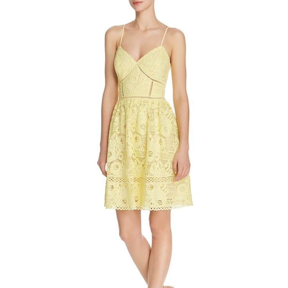 Aqua rose fit and flare yellow lace mini dress